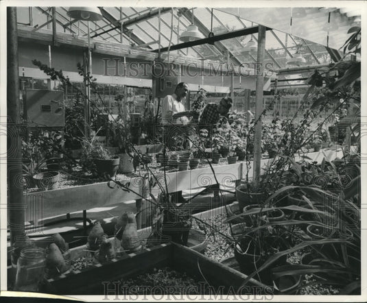 1961 Press Photo Men Look at Plant at Lapham Hall at University in Milwaukee - Historic Images