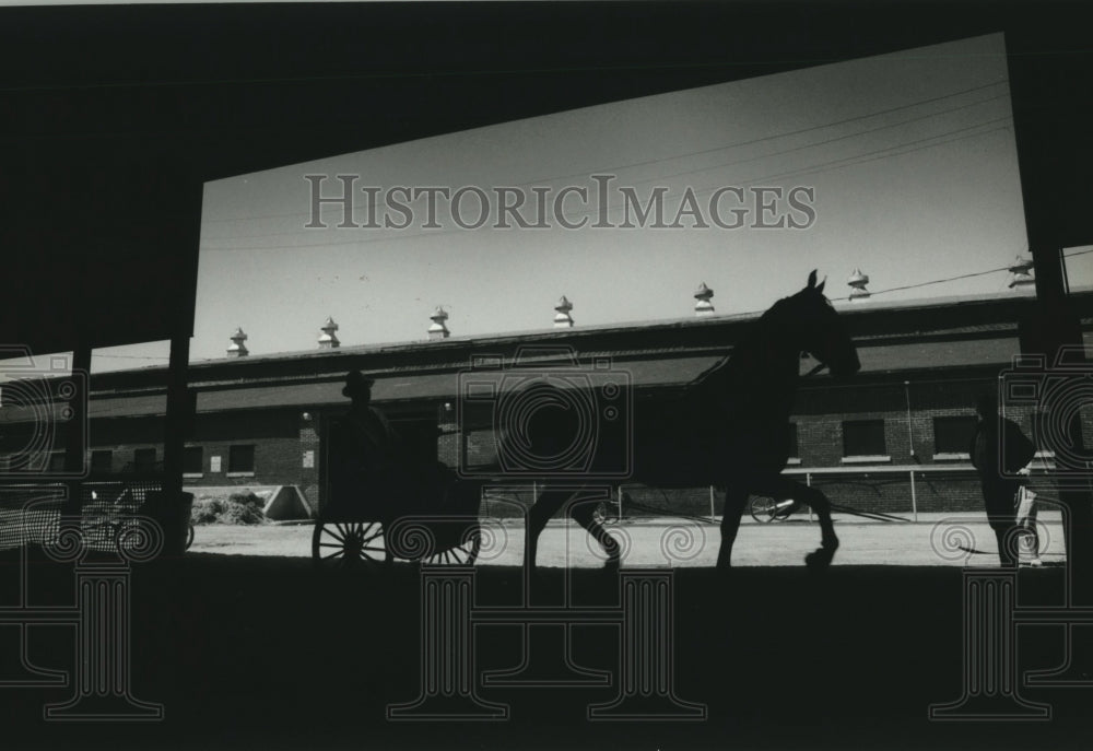 1994, A horse pulls a cart and rider at State Fair Park in Milwaukee. - Historic Images