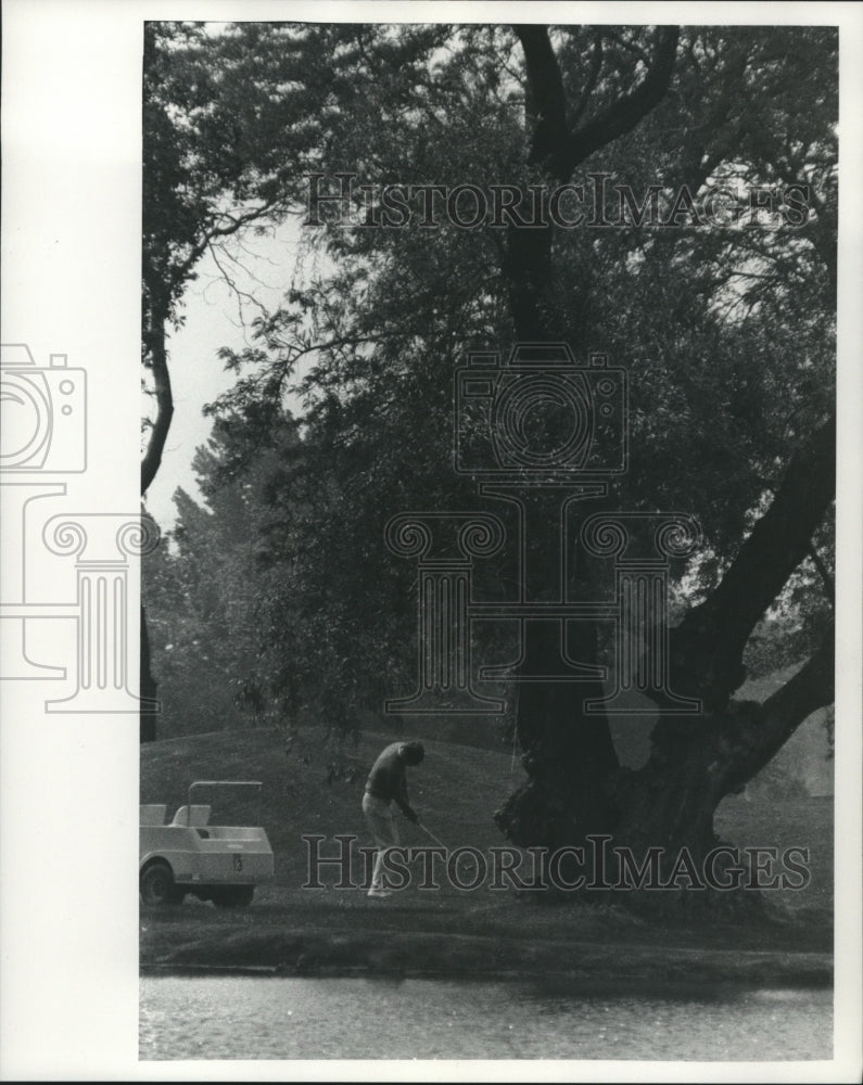 1971 Press Photo Golfer Tripoli Golf Club shooting around giant tree, Milwaukee.-Historic Images