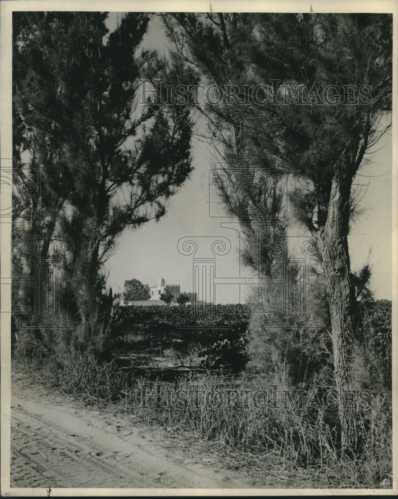 1944 Press Photo Monastery school across vineyard in Tunisia - mjc19663 - Historic Images