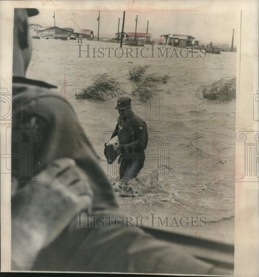 1961 Press Photo National Guardsman Rescues Pig in Holly Beach, Louisiana - Historic Images