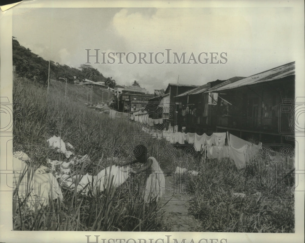 1963 Press Photo Panamanian Girl Puts Wash Out To Dry On Grass in Panama City - Historic Images