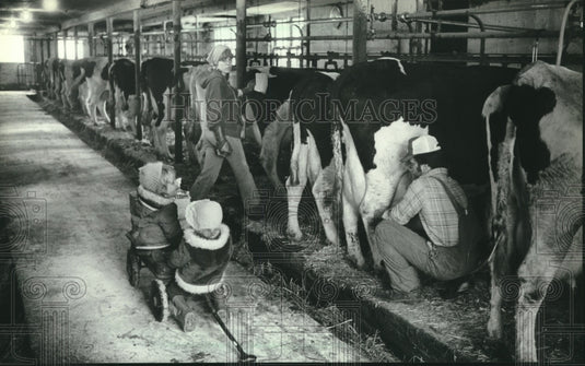 1982, Children Watch As Suzanne & Paul Chip Milk Cows On Their Farm - Historic Images