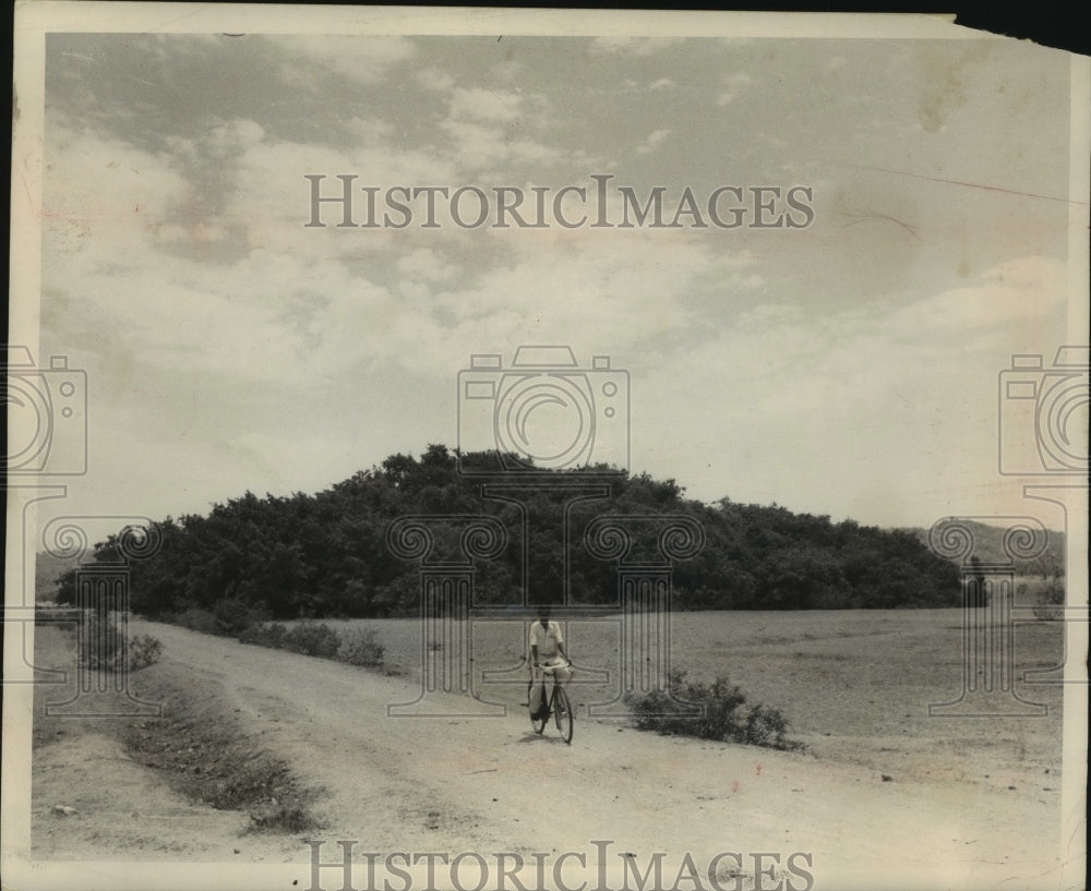 1952, Bhodi Tree in Mahbubnagar, India - mjc21706 - Historic Images
