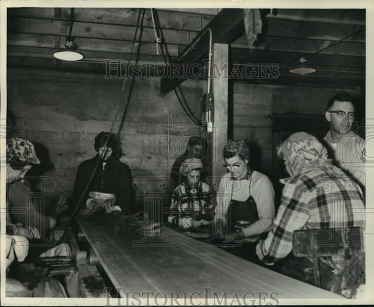 1965 Press Photo Women Count, Sort, And Band Trees Together In Bunches Of Five - Historic Images