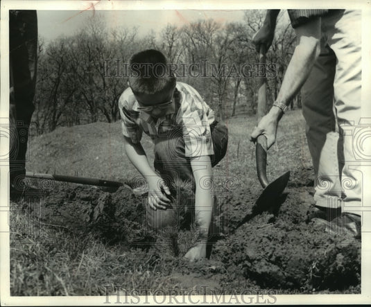 1960, Arthur Baldock planting a seedling in Turtle, Wisconsin - Historic Images