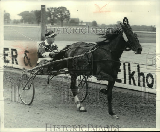 1959 Press Photo Harness racing's John Morrissy and Muffy, 5-time season winner - Historic Images
