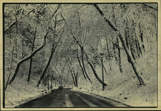 1986 Snow and ice-coated trees on Lake Park, Milwaukee, Wisconsin - Historic Images