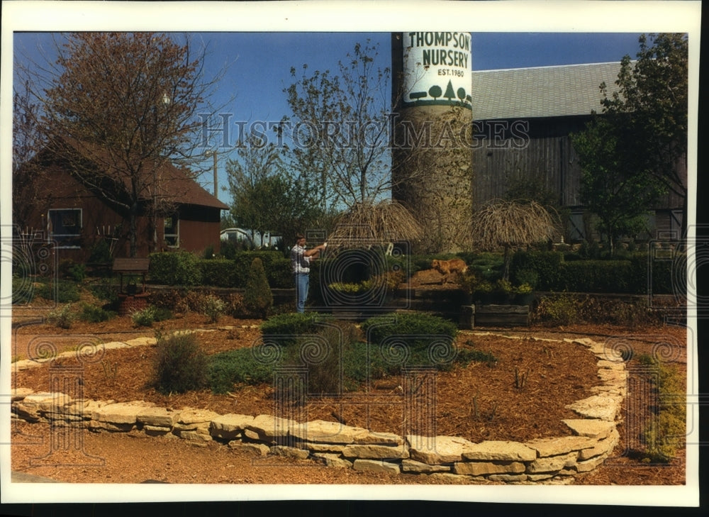 1994, Carey Thompson prunes a tree in a once barren backyard - Historic Images