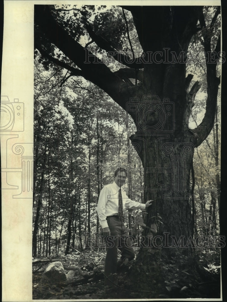 1997 Paul Leuthold and a 175 year old sugar maple tree, Wisconsin - Historic Images