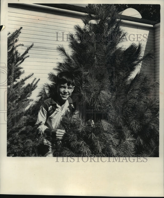 1964, Dale Daggett Stands Beside White Pine Champion Of Wisconsin - Historic Images