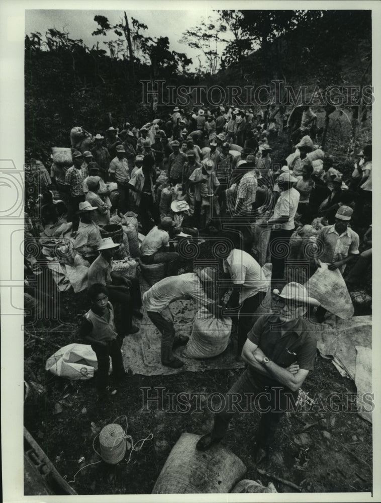 1977 Press Photo Jerry La Rue With Workers With Foot On Coffee Beans, Nicaragua - Historic Images