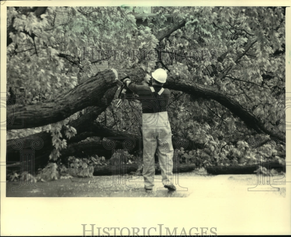 A man cleared a tree from a yard after a Wisconsin storm dropped heavy rain - Historic Images