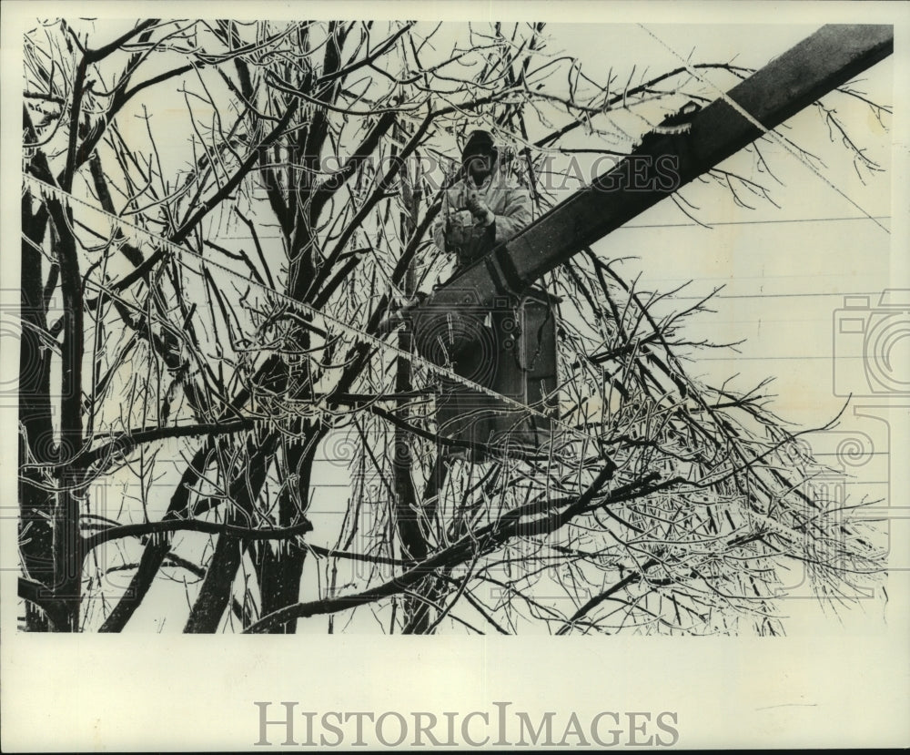 1976, Washington County, Wisconsin workman is surrounded by icy limbs - Historic Images