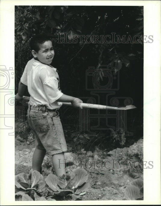1994 Press Photo Edlin Rodriguez works at garden for United Community Center - Historic Images