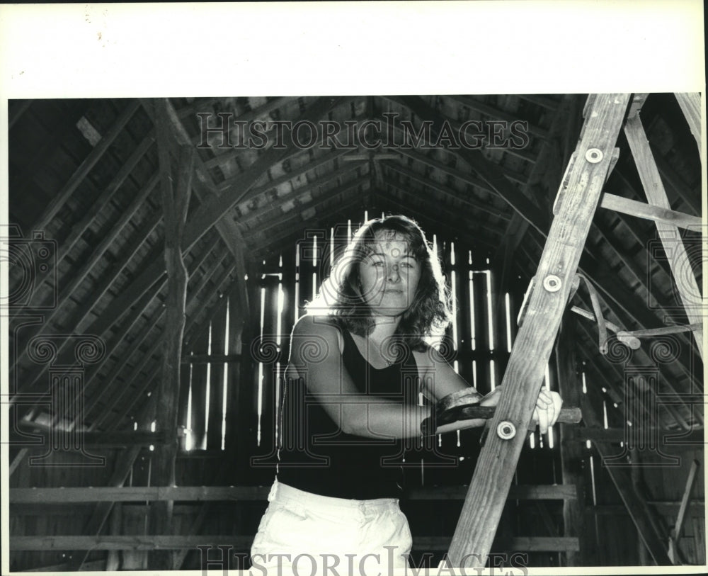 1988 Press Photo Margie van Boldrik renovates barn on her farm near Madison - Historic Images