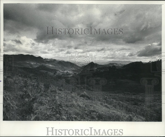 1977 Jerry La Rue's Nicaraguan coffee plantation - Historic Images