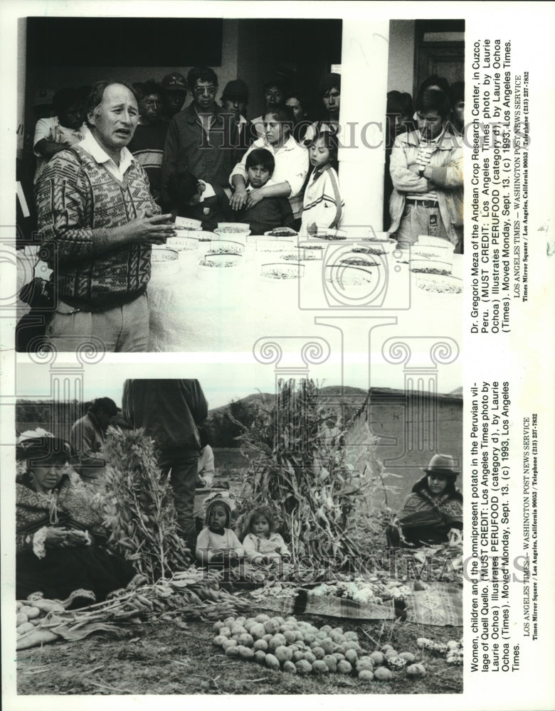 1993 Press Photo People In The Andes Work With Potatoes In Peru - mjc25003 - Historic Images
