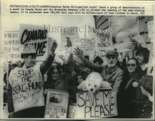1977 Spike Milligan And Demonstrators Protest Against Seal Hunting - Historic Images