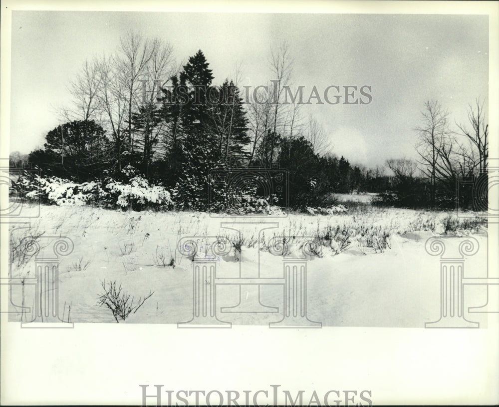 1983, Schlitz Audubon Center covered in snow - mjc25400 - Historic Images