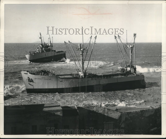 1953, Grommet Reefer accident, Leghorn, Italy - Historic Images