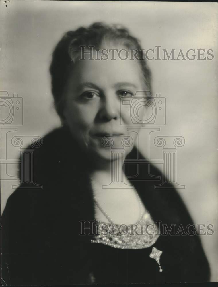 1933 Mrs. Albert G. Schmedeman - Historic Images