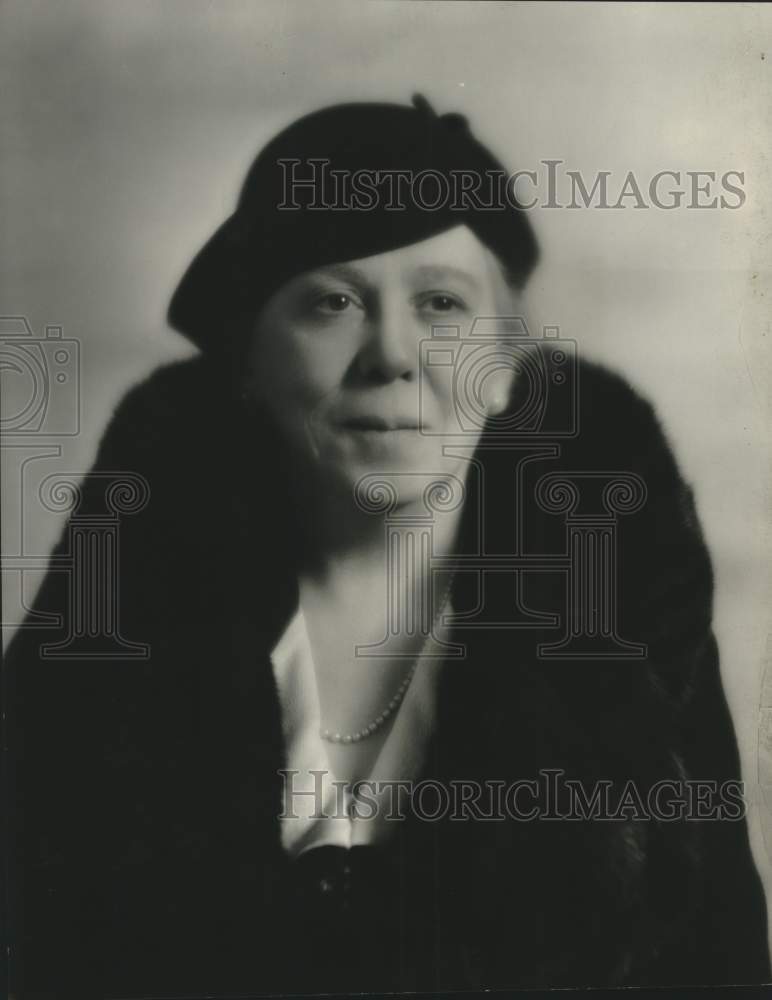 1933, Mrs. Albert G. Schmedeman - mjc26262 - Historic Images