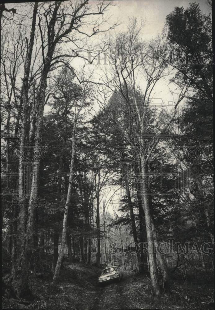 1967 Press Photo Sylvania National Forrest - mjc27976- Historic Images