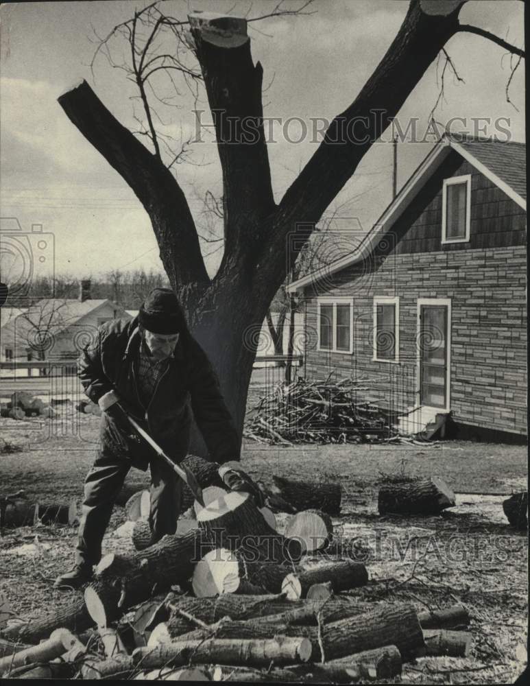 1976 Press Photo Richard Drake splits wood from storm damaged trees, Wisconsin