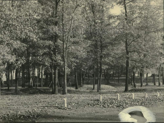 Press Photo Rice Lake Wisconsin - mjc28183 - Historic Images