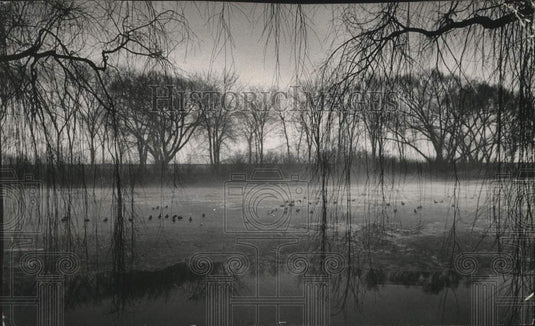 1963, Ducks on the lagoon at Juneau Park - mjc28660 - Historic Images