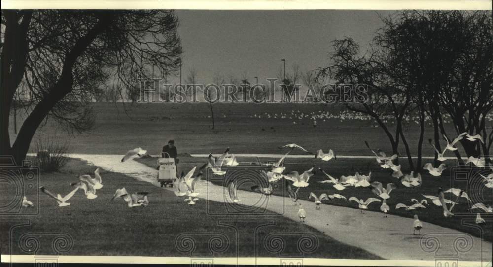 1987 Press Photo James Tellier bringing food for the lakeside birds, Juneau Park - Historic Images