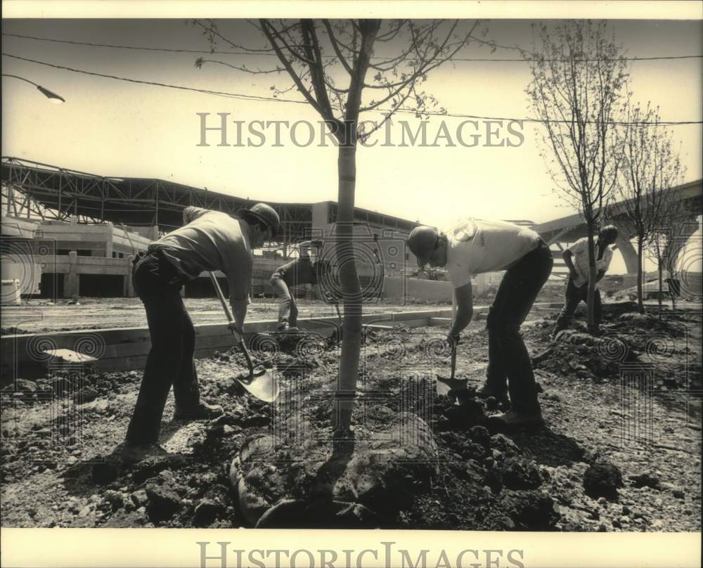 1987 Press Photo Workers plant trees near Marcus Amphitheater for Summerfest. - Historic Images