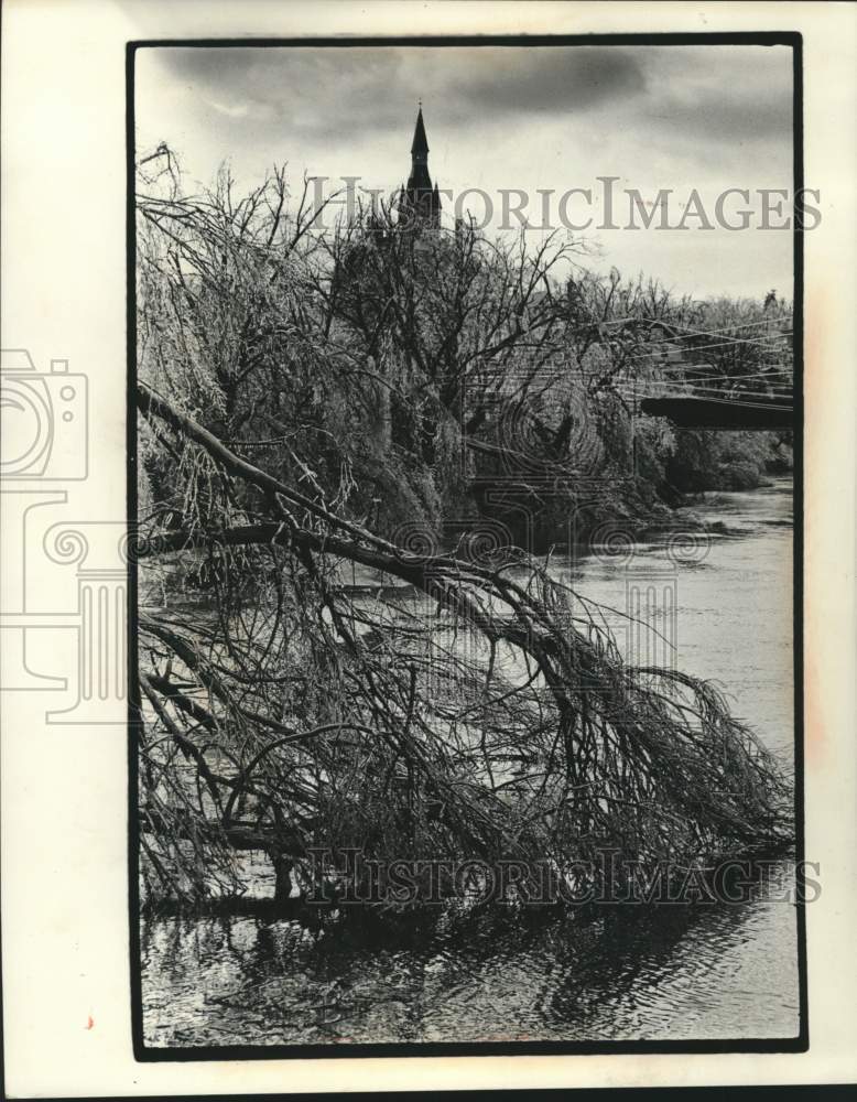 1977 Press Photo Toppled Trees after snow storm in Milwaukee River, Wisconsin - Historic Images