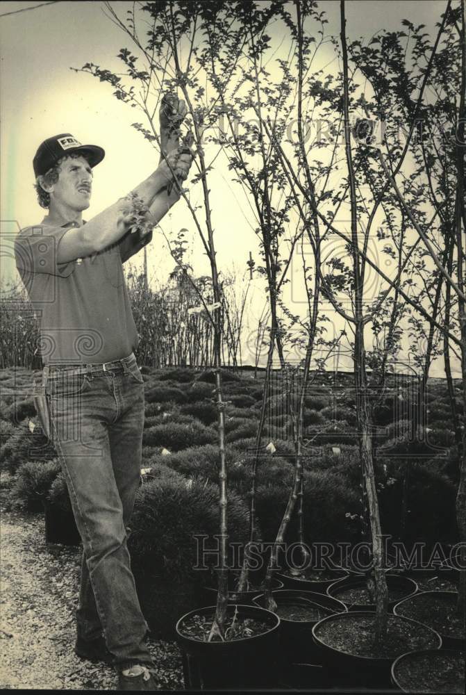 1986 Press Photo Kurt Minor trims his elm tree nursery stock - mjc30043 - Historic Images