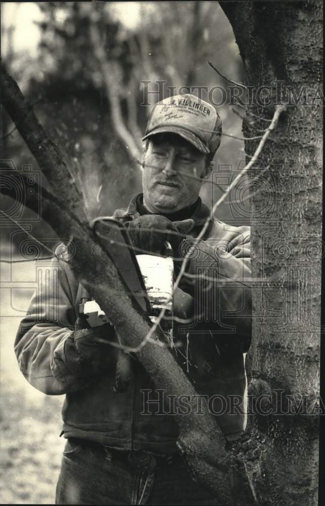 1990 Press Photo Jim Schallock of Egelhoff Tree Service saws off infected branch - Historic Images