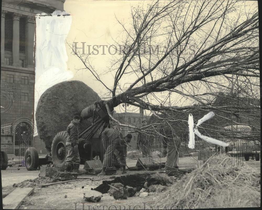 1950, Large tree being transplanted in a Milwaukee park - mjc30214 - Historic Images