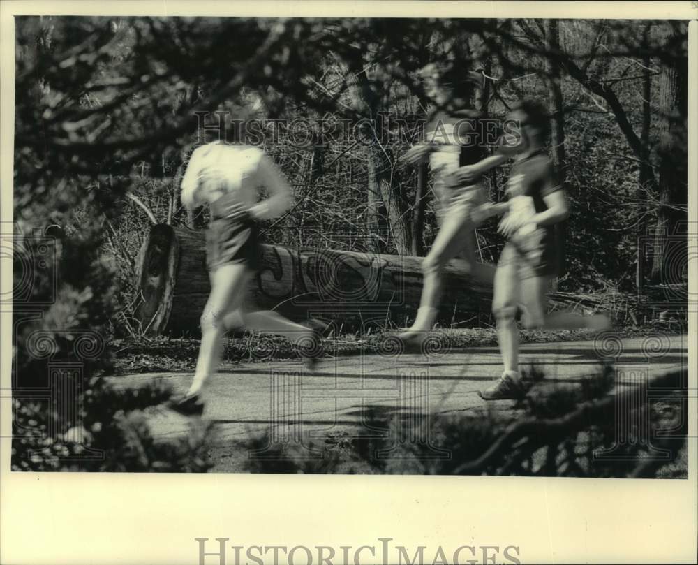 1984 Press Photo Joggers enjoy the paths of Lake Park in Spring - mjc30991 - Historic Images