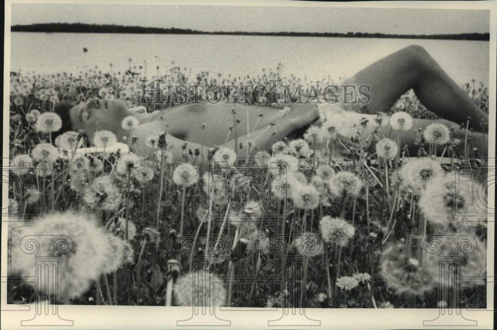 1991 Press Photo John Fraser enjoys sunlight among dandelions, Law Park, Madison - Historic Images