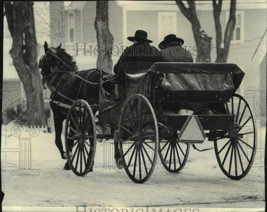 1979 Press Photo Amish men driving a horse drawn buggy, Cashton, Wisconsin - Historic Images