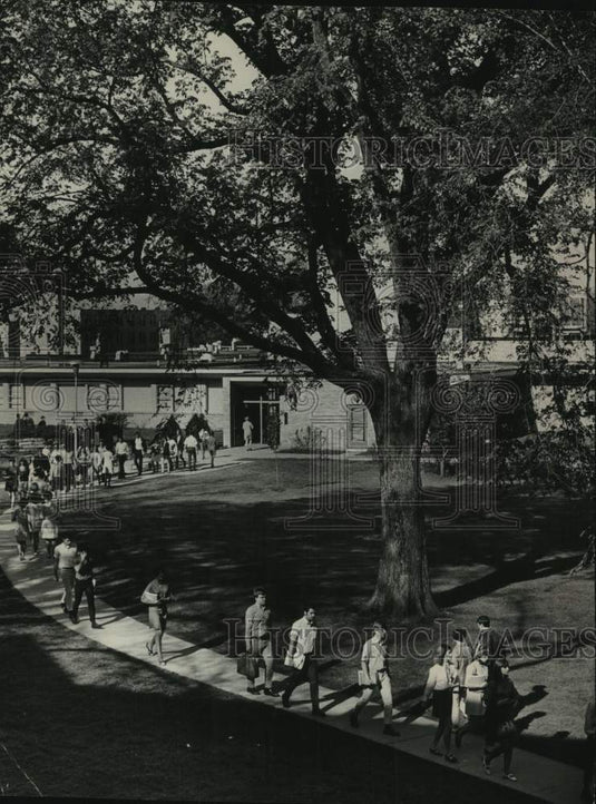 1969 Students moved between the Platteville's library on campus. - Historic Images