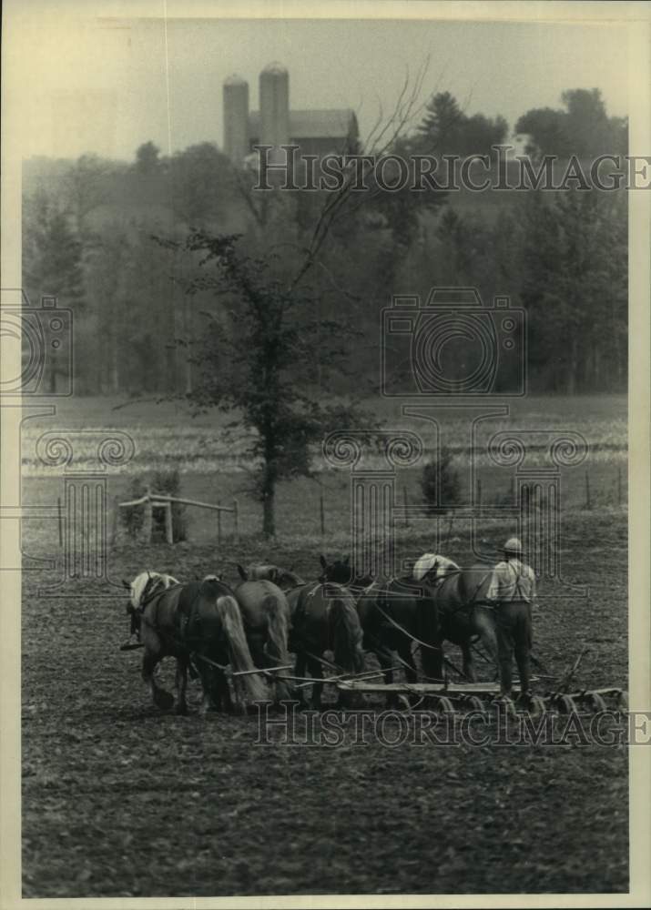 1991 Press Photo Amish farmer plows field with horses, Clark County, Tennessee - Historic Images