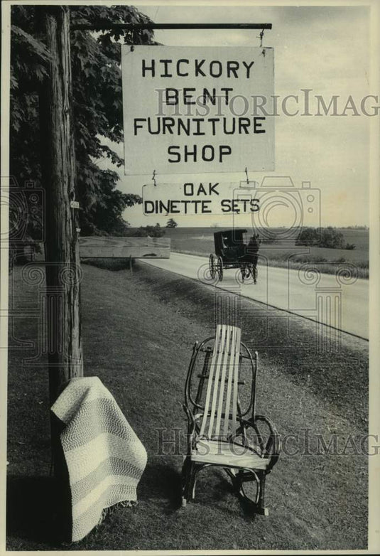 1986 Press Photo A horse and buggy is the usual transportation in Monroe County. - Historic Images