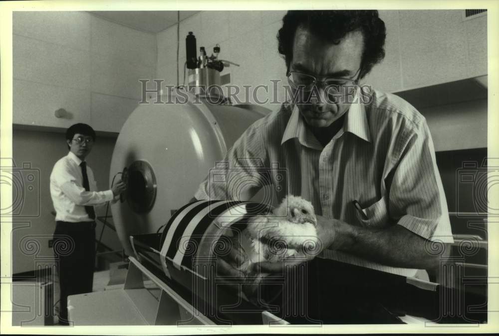 1990 Press Photo Scientist Alva Mitchel studies muscle development of chickens - Historic Images