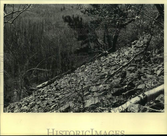 1984 Press Photo The Felsenmeer Wall in Gundy's Canyon, Barron County - Historic Images