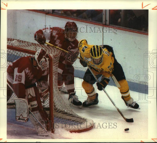 1993 Press Photo Mark Quinet, Barry Ritcher, and Jim Carey play hockey - Historic Images