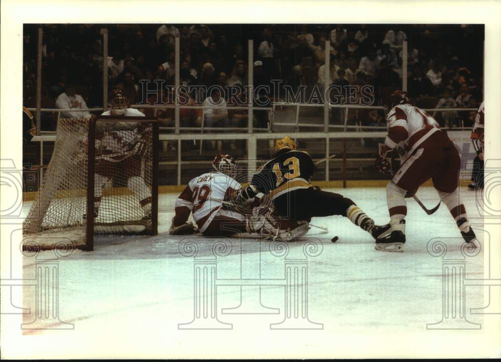 1993 Press Photo Badger&#39;s Hockey Game at University of Wisconsin in Madison - Historic Images