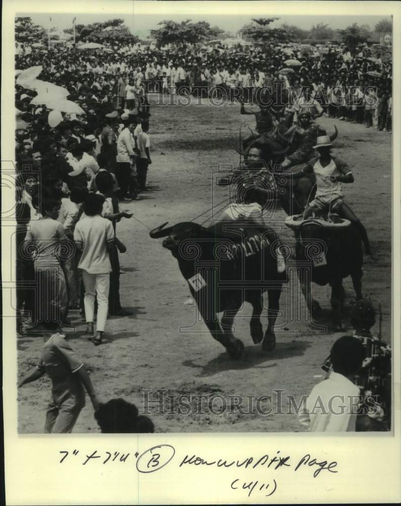 1983 Press Photo The annual Buffalo Festival in Bangkok, Thailand - mjc34168 - Historic Images