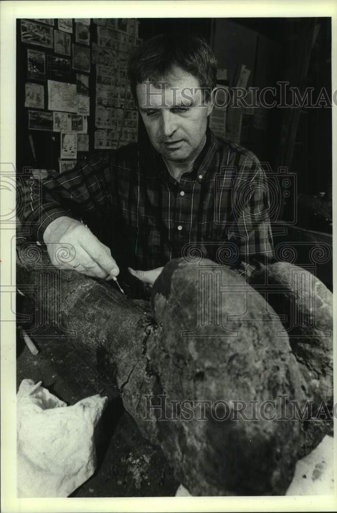 1989, Bone from the Edmontosaurus at UW-Madison, Madison - mjc34295 - Historic Images