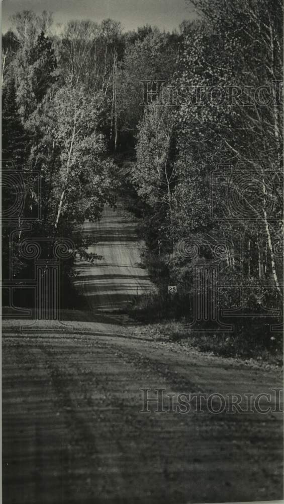 1985 Press Photo Road lined with aspen and birch trees, Stevens Point, Wisconsin - Historic Images